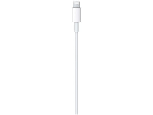 APPLE Cavo da USB-C a Lightning (1 m)
